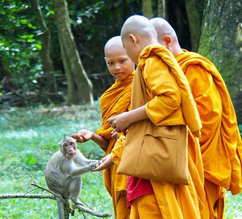 Amazing Myanmar package tour: 5 days