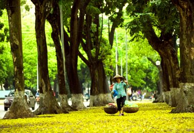 Fall in Hanoi
