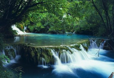 Bach Ma National Park