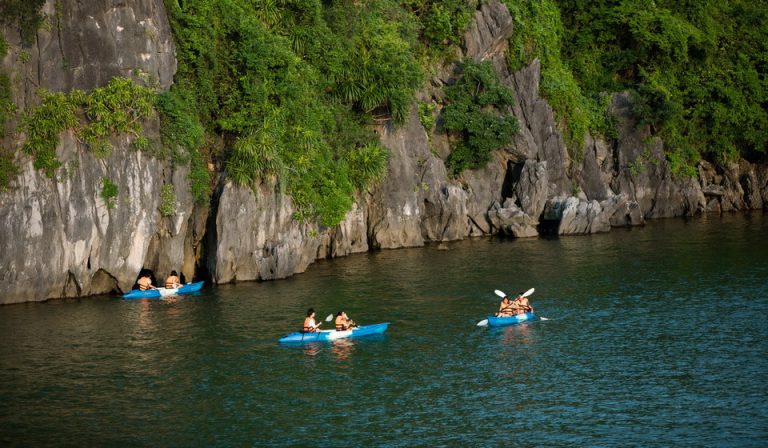 Pelican Cruise Kayaking