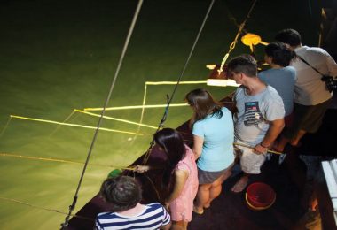 Grayline cruise Squid fishing