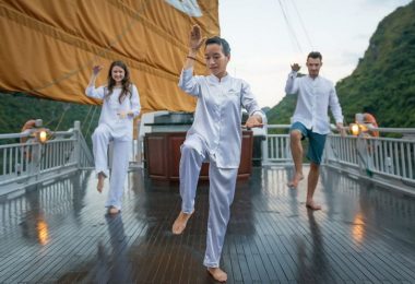 Paradise Cruise Tai Chi
