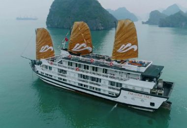 Kayaking - Paradise Cruise