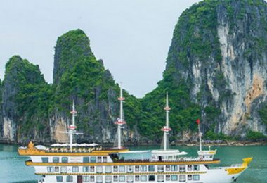 Dragon Legend Cruise BM