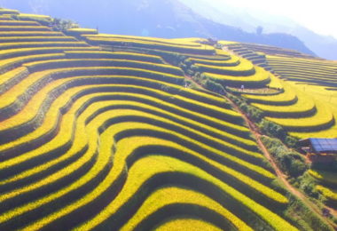 Mu Cang Chai De Xu Phinh Village