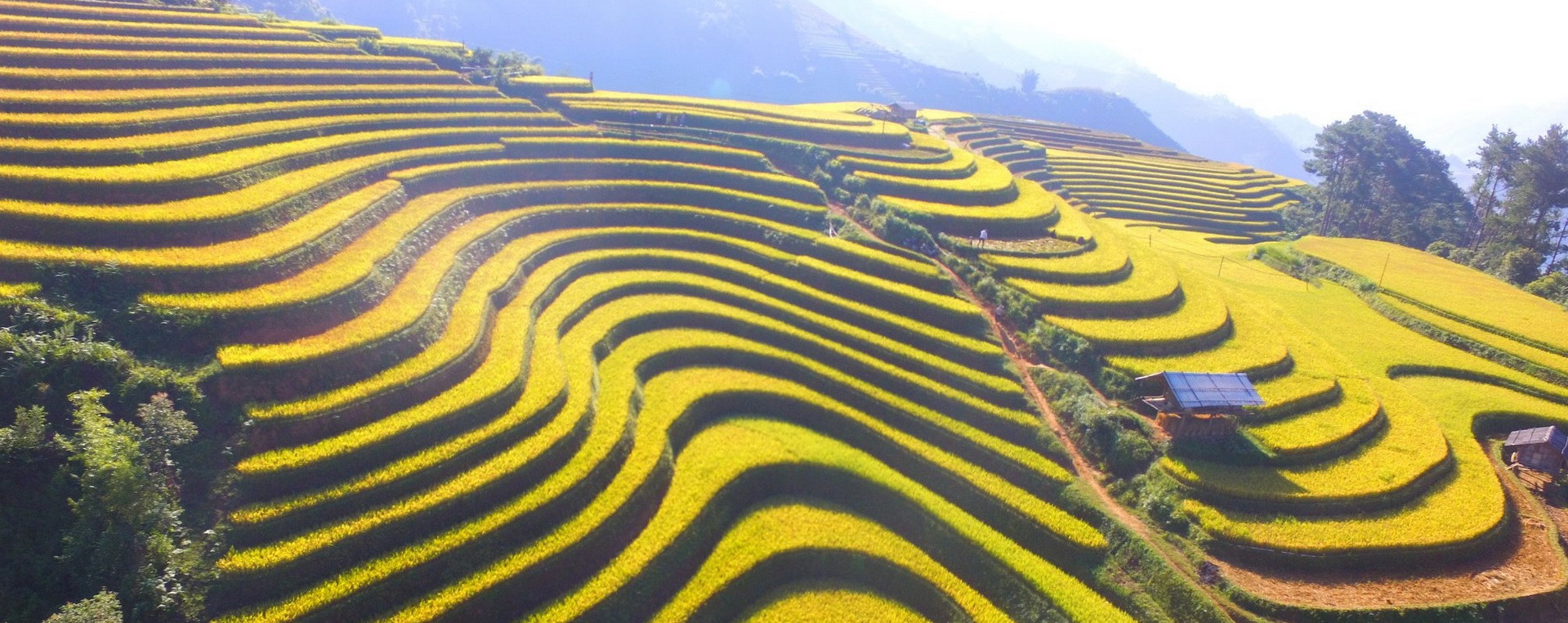 Che Cu Nha Village: Travel, Map, Photos, News