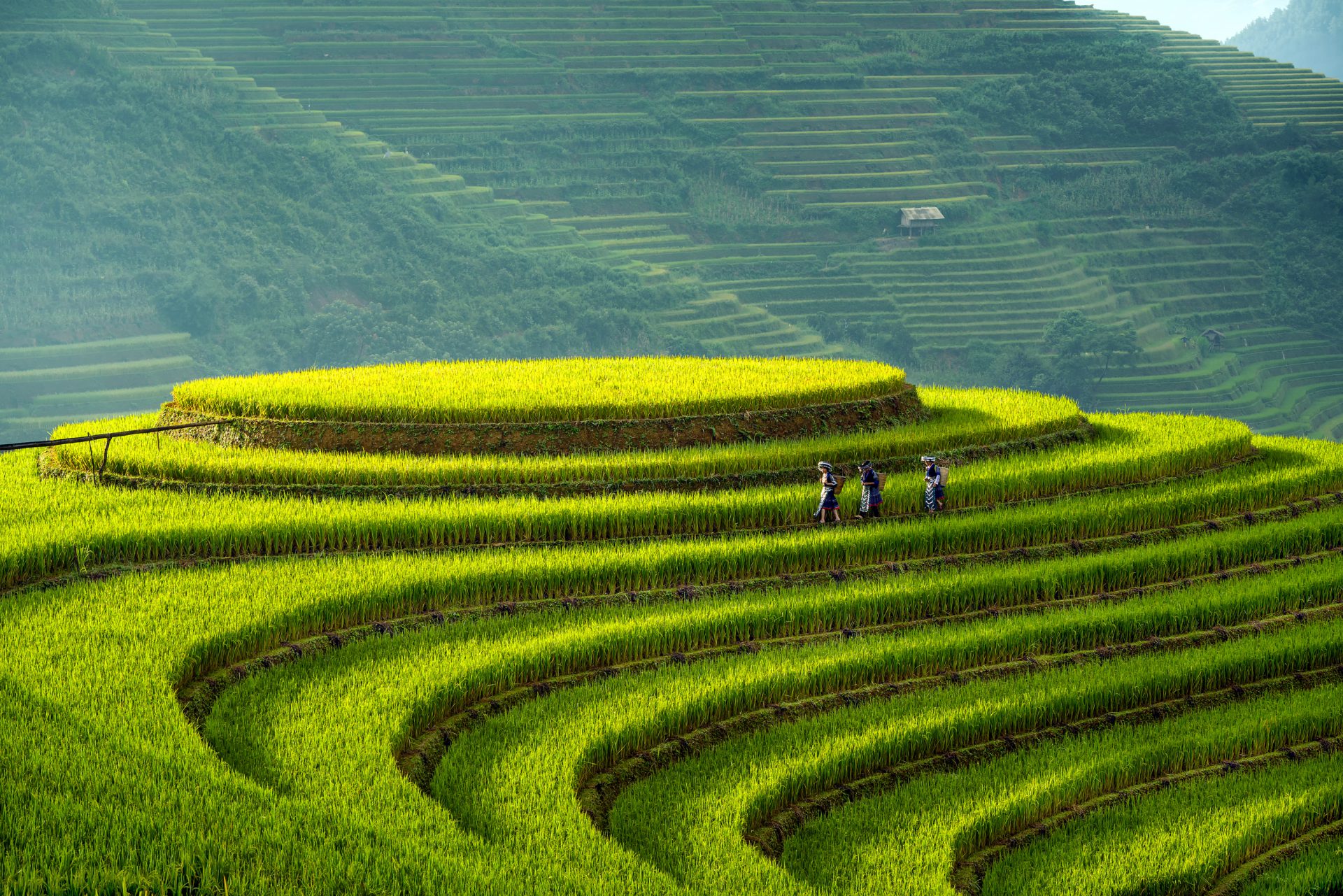 Impression Of Mai Chau - Pu Luong Package Tour: 3 Days