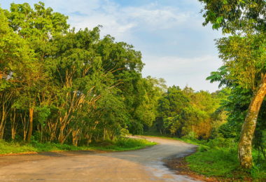 Cuc Phuong National Park