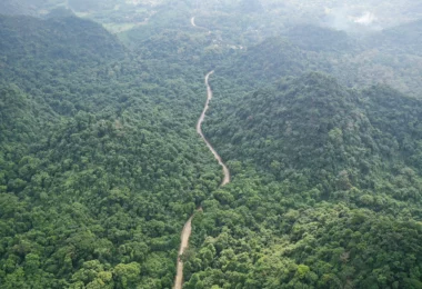 Cuc Phuong national park