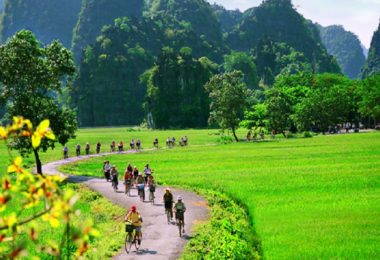 Ninh Binh Biking via rice terrace