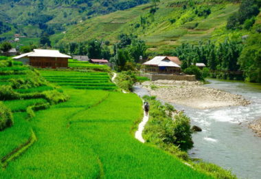 Sapa Rice Terraces