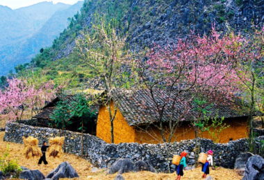 Ha Giang in Spring