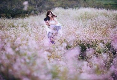 Flowers bloom triangle circuit in Moc Chau