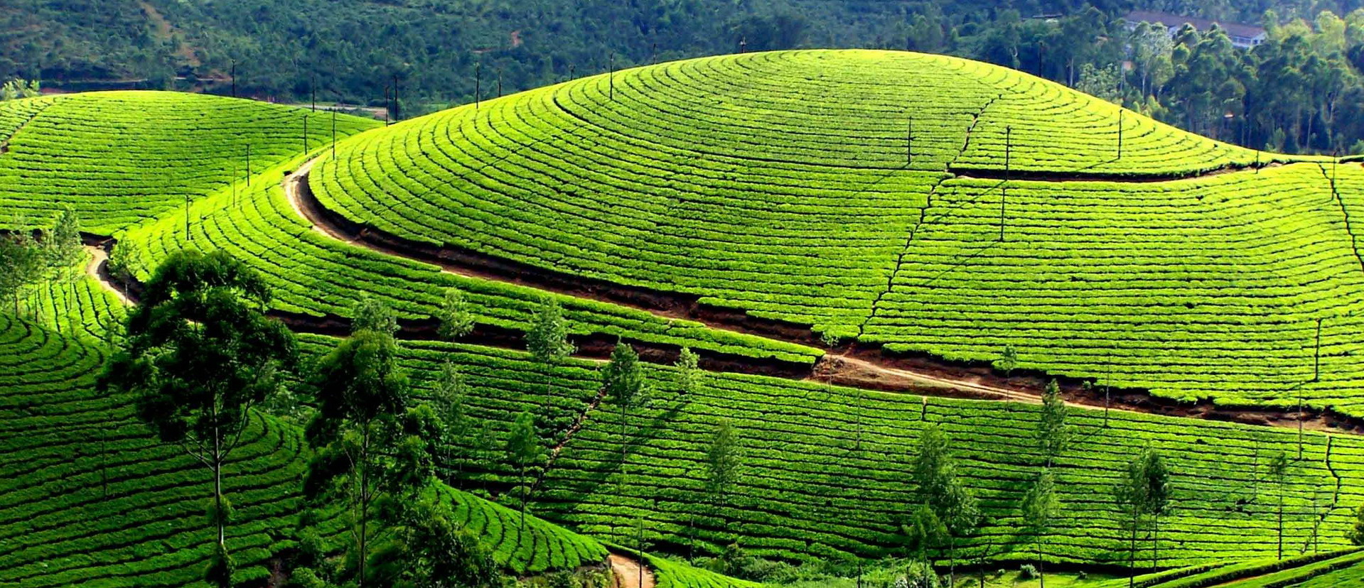 Restaurants in Dien Bien Phu