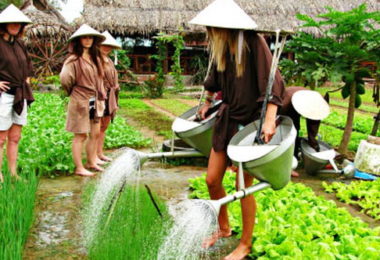 Restaurant in Hoi An