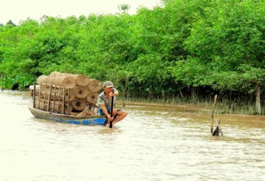 Can Gio Mangrove Forest Fisher Man