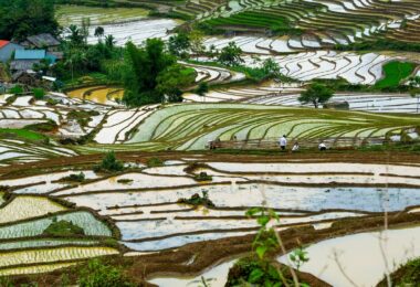 Mu Cang Chai Eco Tour 4 Days