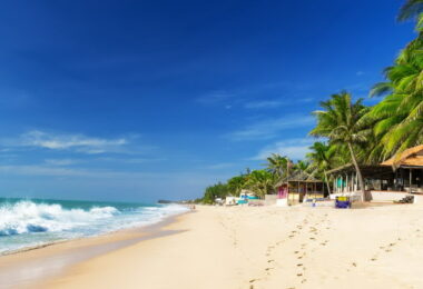 Ho Chi Minh City- Da Lat – Mui Ne Eco Discovery | 5 Days