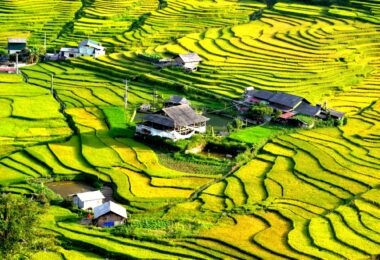 Ta Van’s Giay village.