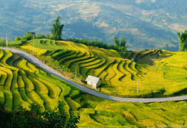 Khau Pha Pass