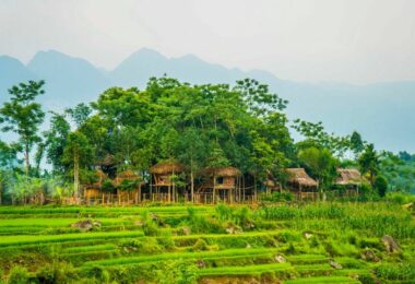 Pu Luong Eco Homestay & Local Market