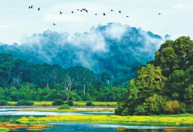 Tours 10 Ho Chi Minh – Nam Cat Tien Park Trekking: 2 Days