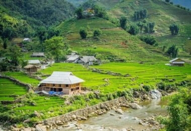 Village Trek and Homestay